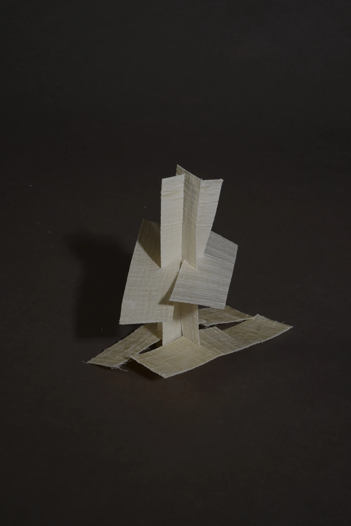 structural studies