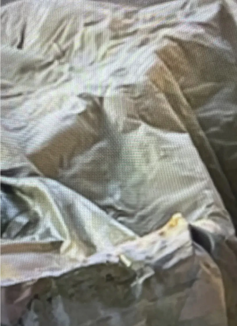 2025 -  [815 × 1120 pixel]  - zurich